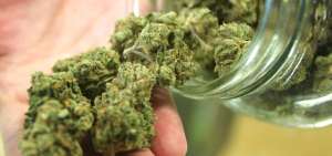 En 2015 se detectaron 98 sustancias nuevas. Sin embargo, el cannabis contin&uacute;a siendo la droga m&aacute;s consumida en la Uni&oacute;n Europea.