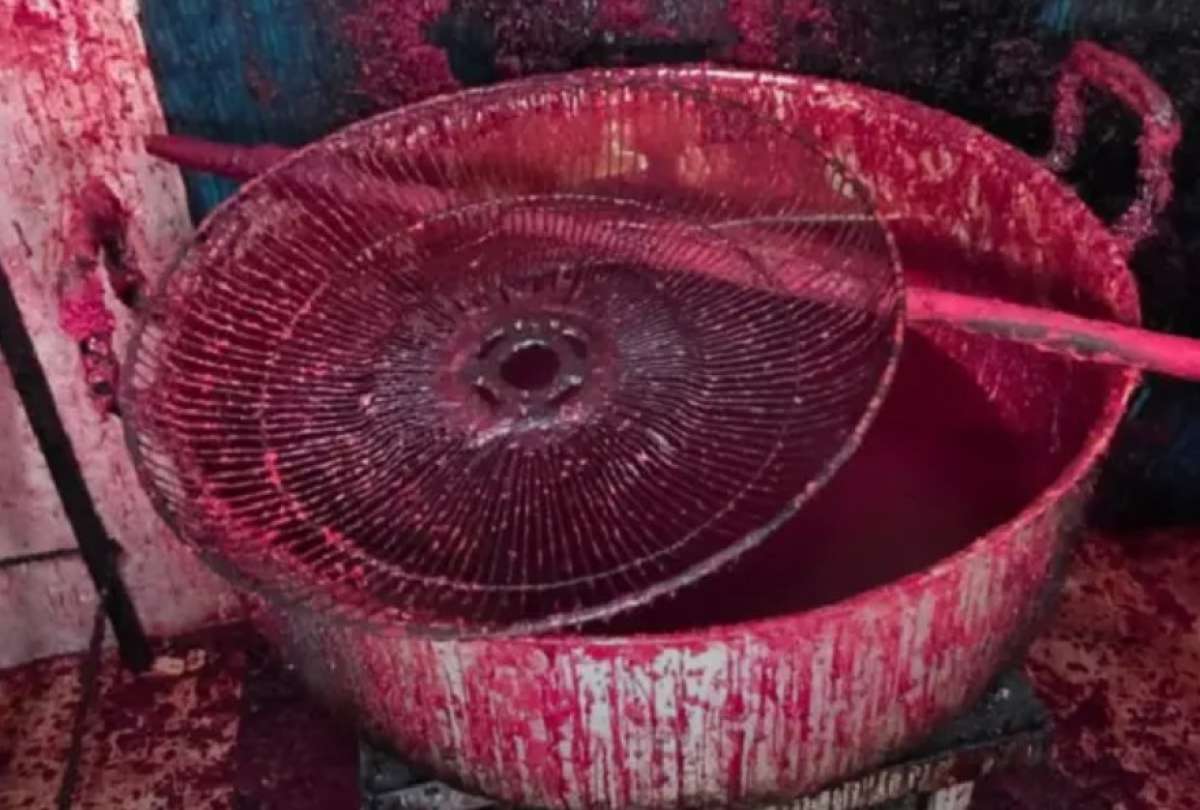 Clausuran panificadora en Guayaquil tras hallar heces de roedor en hornos