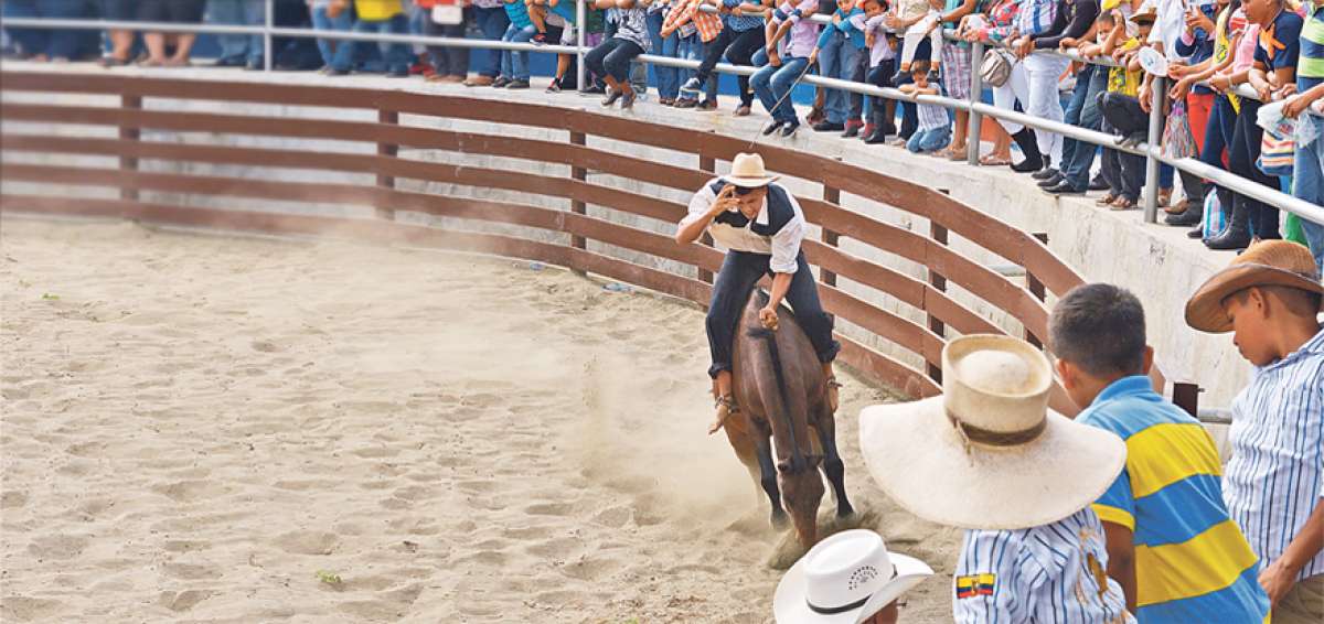 Uno de los jinetes de la Asociaci&oacute;n de Ganaderos de Balzar doma, descalzo y sin montura, a uno de los ejemplares que sali&oacute; al ruedo el pasado viernes.