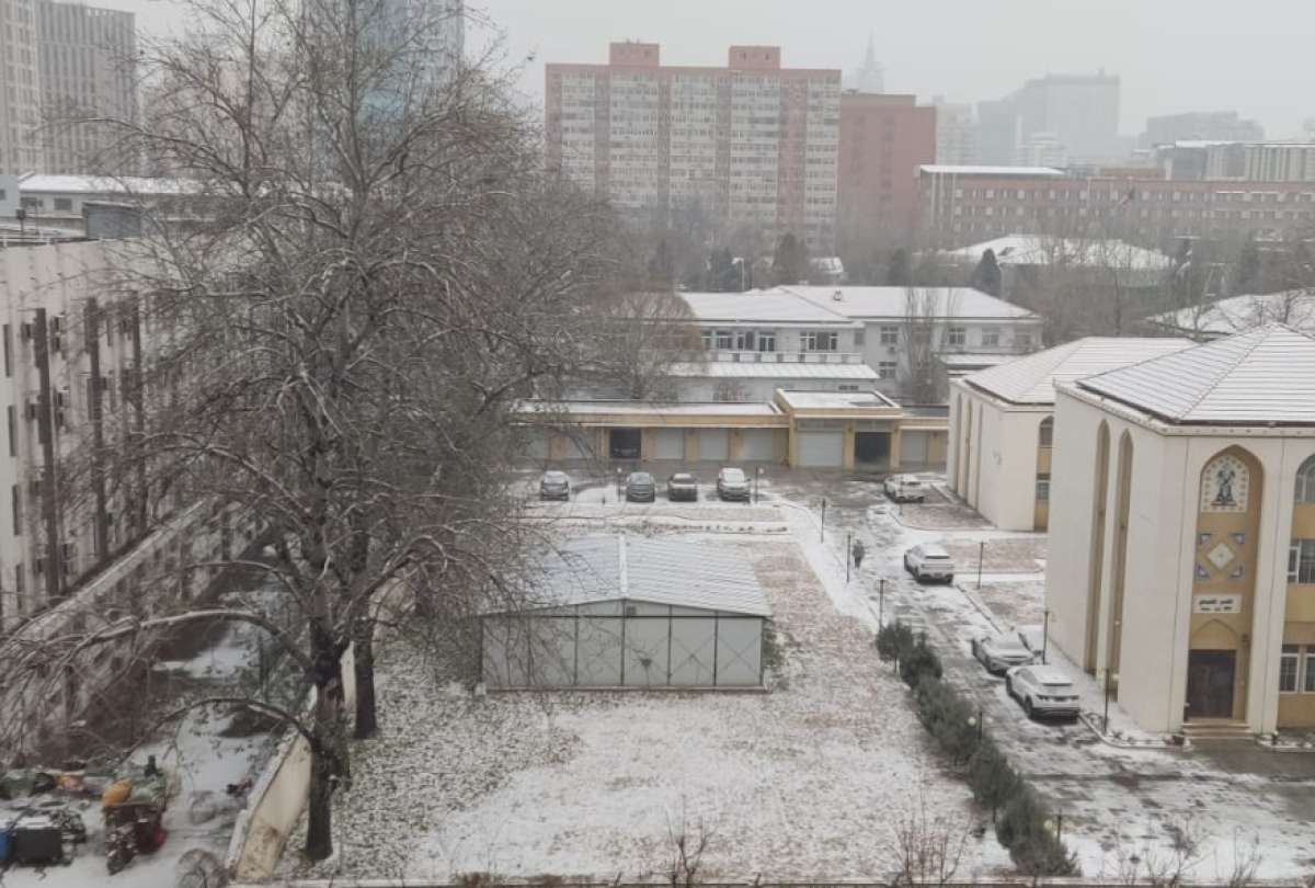 En Beijing cayó este viernes 12 de diciembre la primera nevada.
