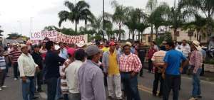 Arroceros levantan protesta en Tarifa