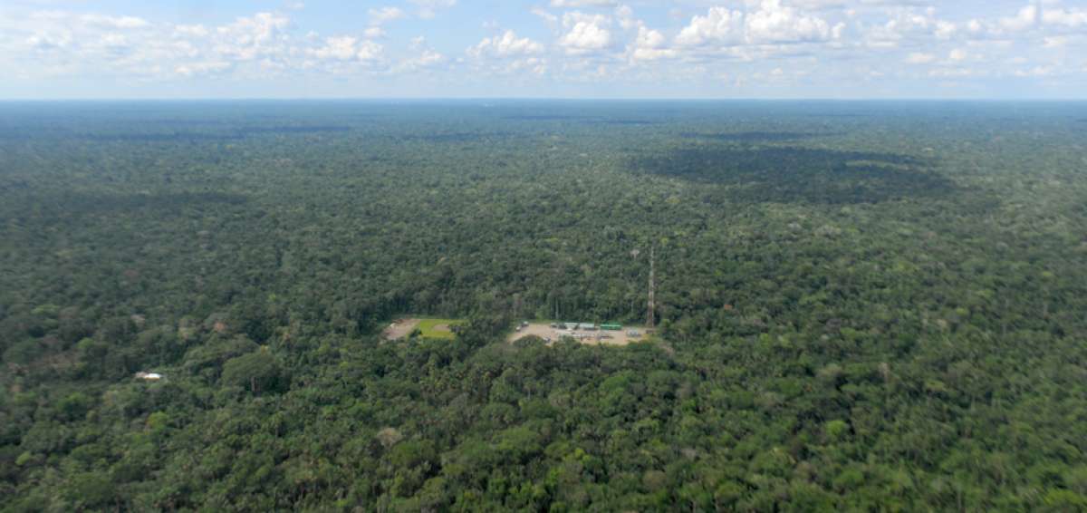 El PNY tiene una extensi&oacute;n de 1&rsquo;022.736 hect&aacute;reas, la explotaci&oacute;n se permiti&oacute; en 1.030 ha.