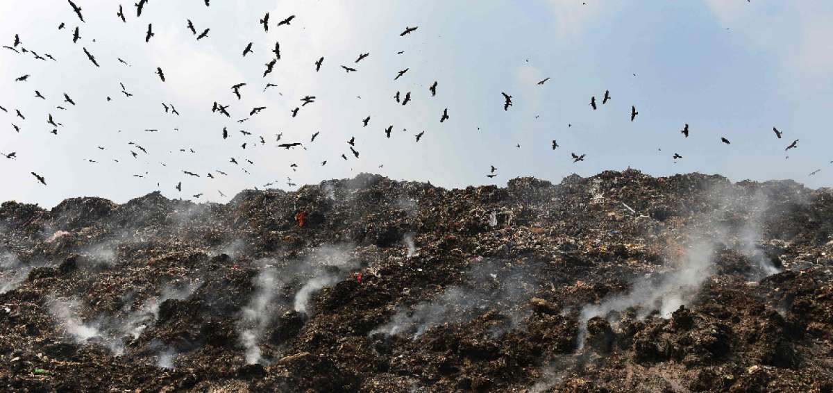 Nueva Delhi, la capital m&aacute;s contaminada del mundo