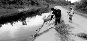 Miles de hect&aacute;reas y productores se benefician con la obra que entrega agua de riego y para consumo humano en la zona de la pen&iacute;nsula.