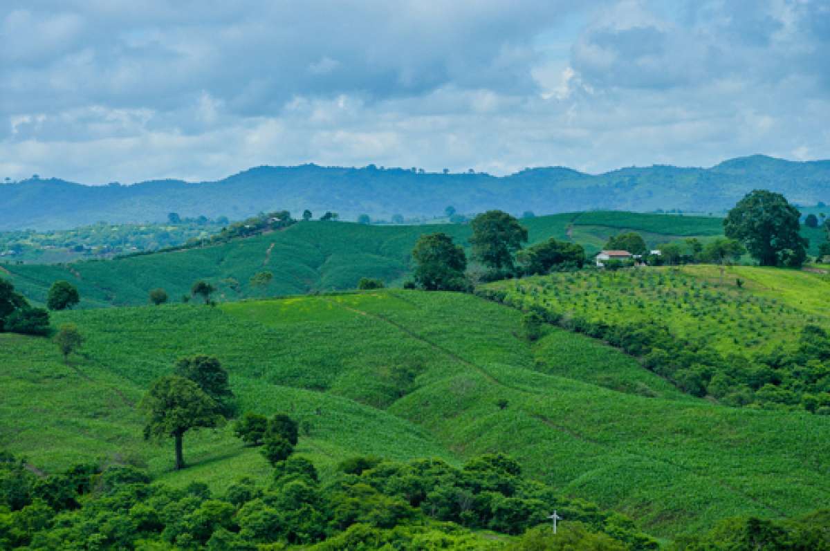 Agricultores tuvieron acceso a la Ley de Tierras 