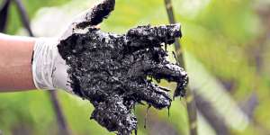El campo Aguarico 2 fue solamente operado por Texaco, ahora Chevron. All&iacute; se concentra el mayor da&ntilde;o. Foto: Archivo