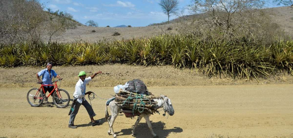 Burros y bicicletas son los principales transportes en la zona rural de Manab&iacute;.