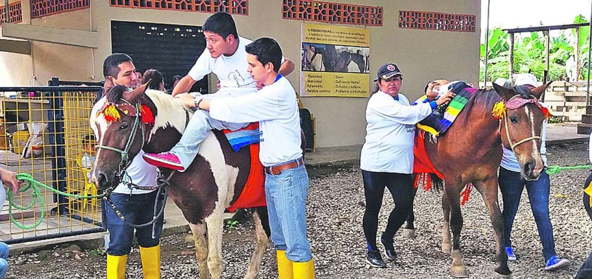 Los ni&ntilde;os acuden diariamente a las sesiones de equinoterapia para mejorar su salud.