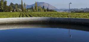La industria de bebidas optimiza el reuso del agua