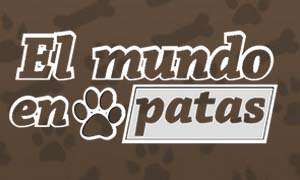 El mundo en 4 patas