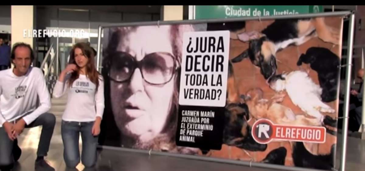 Los activistas protestaton contra el refugio Parque Animal en Torremolinos (Espa&ntilde;a), que operaba tambi&eacute;n como peluquer&iacute;a y cl&iacute;nica para animales. 
