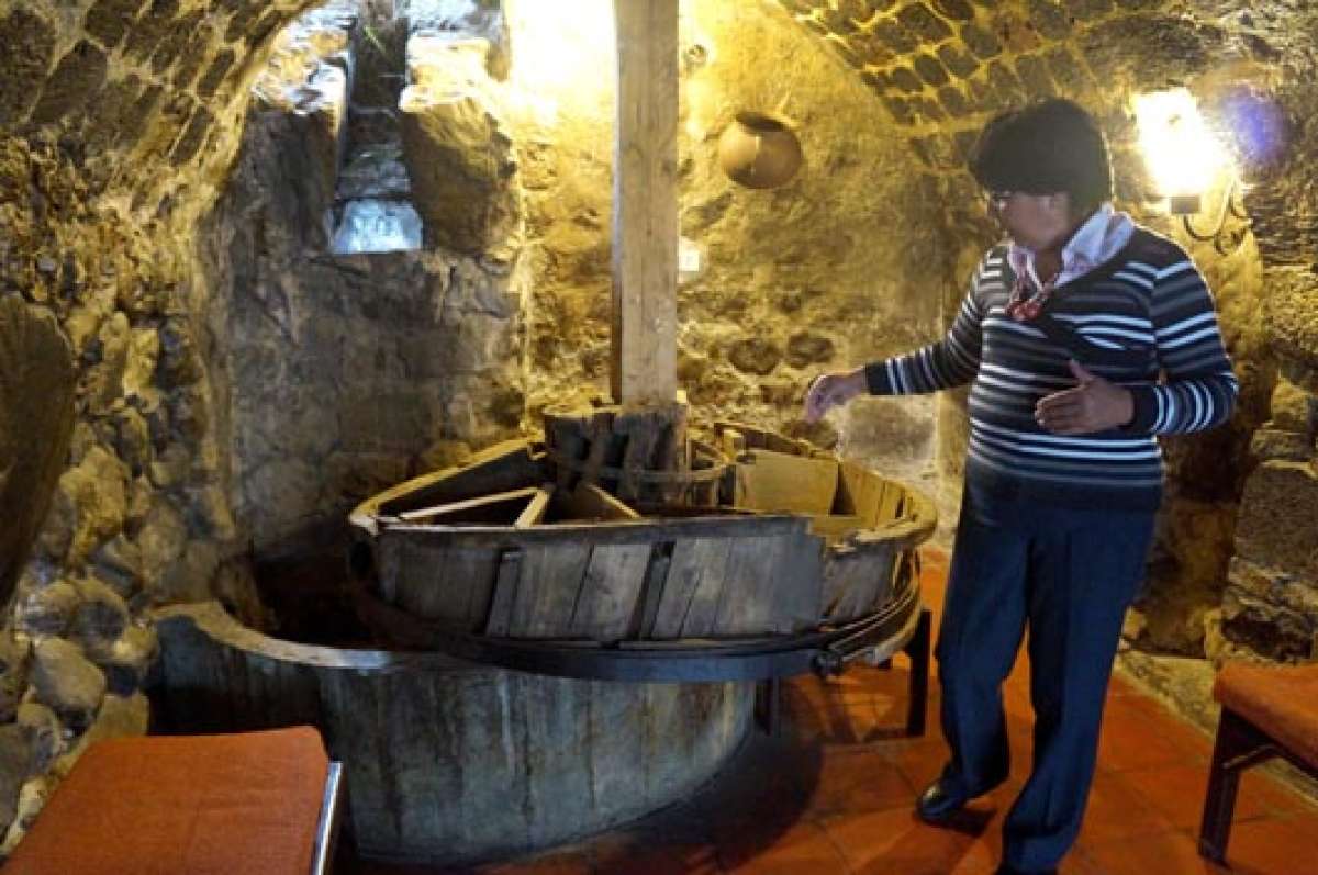 La gu&iacute;a del museo, Carmen Valencia, ofrece detalles hist&oacute;ricos que ayudan a los turistas a comprender mejor. Foto: Silvia Osorio / para El Tel&eacute;grafo