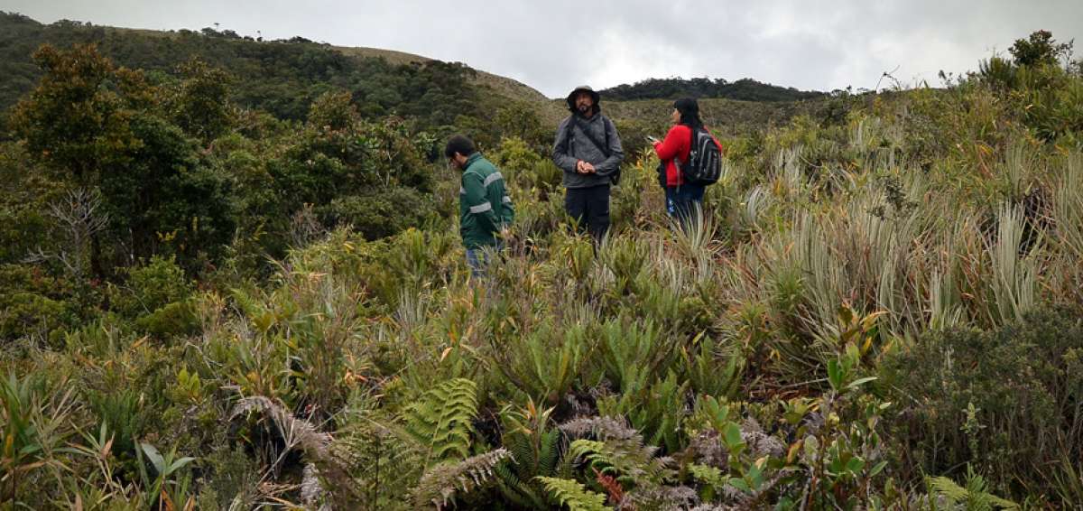 El Ministerio del Ambiente tom&oacute; la decisi&oacute;n de declarar &aacute;rea protegida, debido a que registra en su territorio, flora y fauna &uacute;nica de la zona.