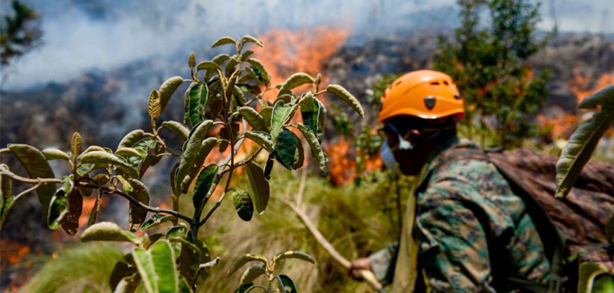 El incendio forestal ocurrido entre finales de septiembre y principios de octubre en el cerro Atacazo consumi&oacute; 290 ha en Quito y 942 ha en Mej&iacute;a.