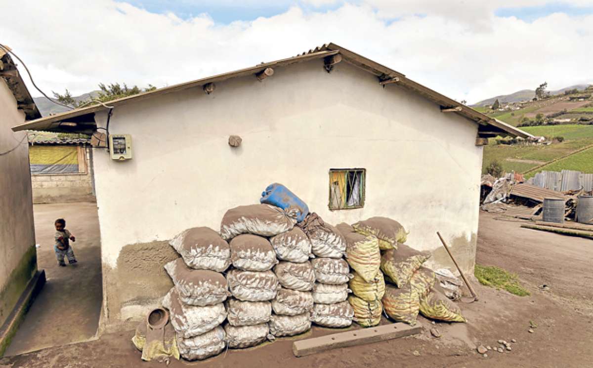 El precio normal del quintal de papa es de $ 14 en mercados de Ambato, Salcedo, Latacunga y Riobamba. Al ser de cosecha adelantada, baja hasta $ 8. Foto: Roberto Ch&aacute;vez/El Tel&eacute;grafo