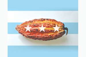 El siglo del cacao guayaquile&ntilde;o