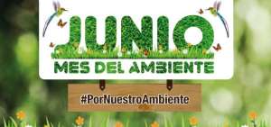 MAE declara a junio como el mes del ambiente