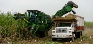 El corte mecanizado de la ca&ntilde;a  de az&uacute;car en verde permite al Ingenio, en el aspecto econ&oacute;mico, mantener la productividad y sostenibilidad de su cultivo.