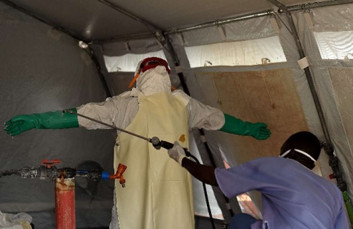 Cient&iacute;ficos identifican zonas vulnerables del virus del &eacute;bola