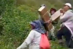 Exportadores de flores trasladan a pie sus productos tras casi 30 días de paralizaciones.