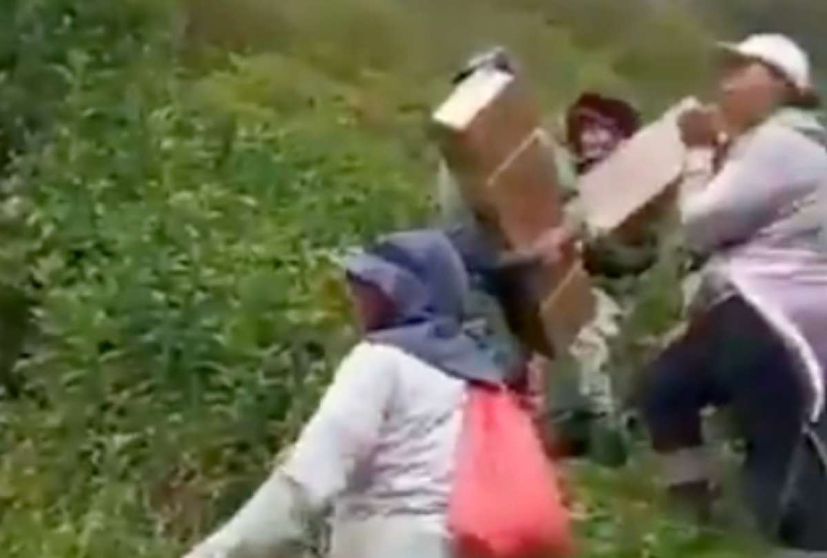 Exportadores de flores trasladan a pie sus productos tras casi 30 días de paralizaciones.