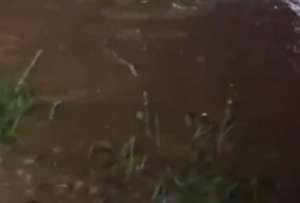 La v&iacute;a Al&oacute;ag  - Santo Domingo est&aacute; cerrada.