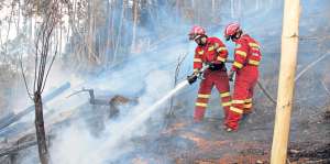 Los voluntarios del Cuerpo de Bomberos trabajan en varias zonas del Azuay sofocando los incendios forestales. Foto: Jos&eacute; Luis Llivisaca / El Tel&eacute;grafo