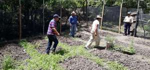 En Gonzanam&aacute; (Loja) se trabaja en la implementaci&oacute;n de parcelas agroforestales que contribuyan al manejo sostenible de la tierra. 