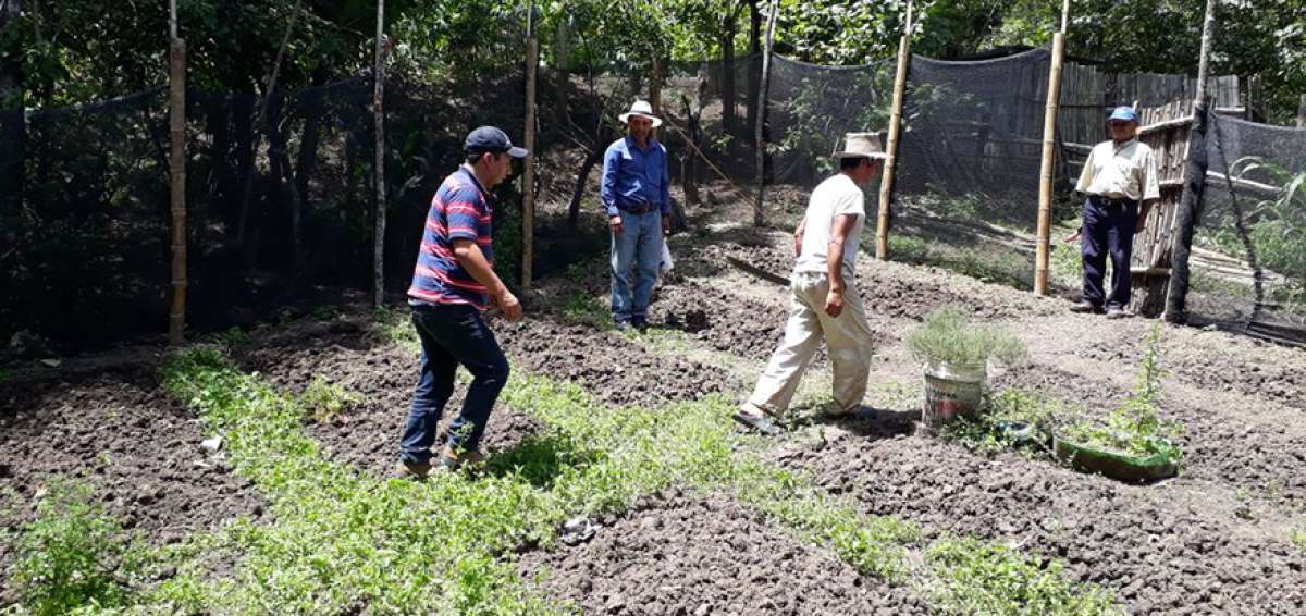 En Gonzanam&aacute; (Loja) se trabaja en la implementaci&oacute;n de parcelas agroforestales que contribuyan al manejo sostenible de la tierra. 