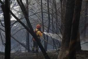 Autoridades se pronunciaron antes los 22 incendios forestales que hubo este jueves, 06 de septiembre de 2023, en Quito.
