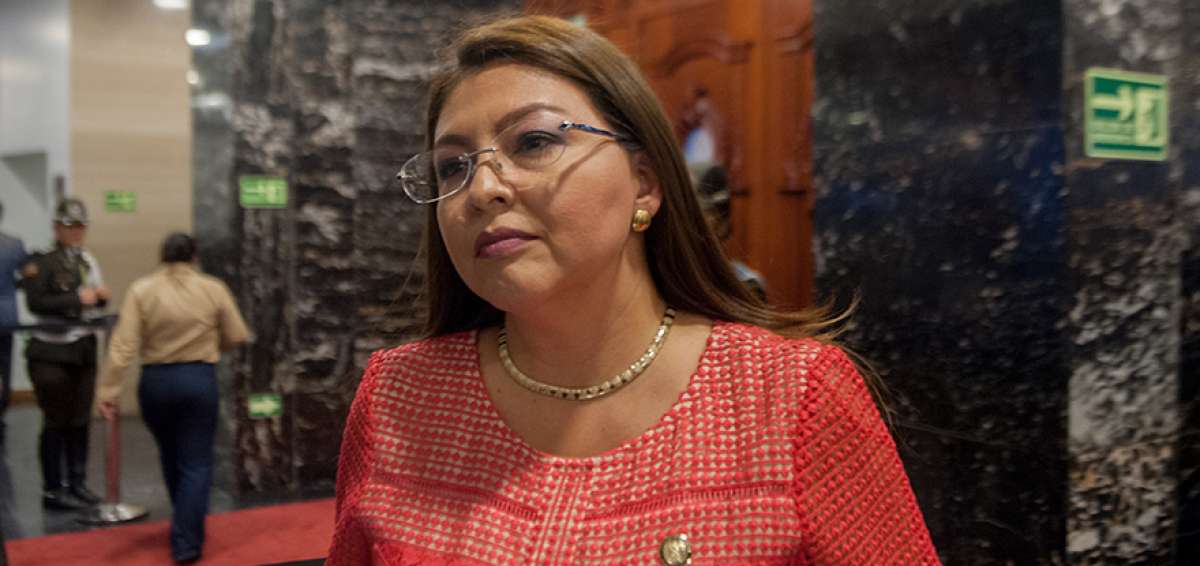 En febrero pasado, la Canciller&iacute;a envi&oacute; a Bolivia el reporte judicial sobre Sof&iacute;a E., en el que se constata que es requerida por la justicia.