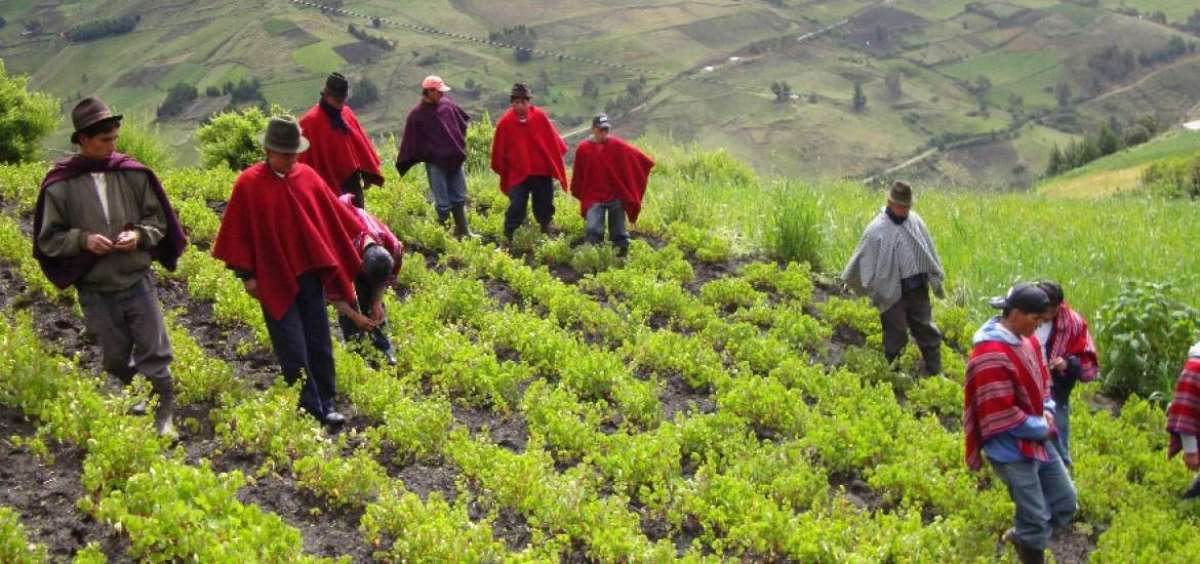 La ley regula la posesi&oacute;n, la propiedad, la administraci&oacute;n y redistribuci&oacute;n de la tierra.