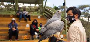 Tanto los cuidadores, empleados y visitantes deben utilizar mascarillas para ingresar al zool&oacute;gico de Guayllabamba, que reinicia su actividad hoy.