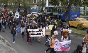 Agrupaciones expresaron su rechazo a las corridas de toros que se iniciar&agrave;n ma&ntilde;ana, 2 de diciembre, a las 08:00. Foto: Daniel Molineros / El Tel&eacute;grafo 