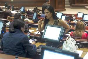 El proyecto de ley APP permiti&oacute; que en el Pleno se generalice el criterio de que esta normativa es buena para el pa&iacute;s. Foto: Miguel Jim&eacute;nez / El Tel&eacute;grafo