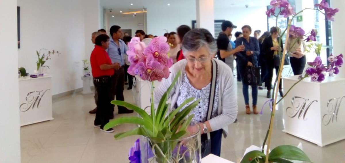 Las orqu&iacute;deas buscan ganar terreno en el mes de San Valent&iacute;n