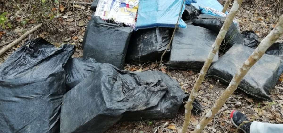 El alcaloide estaba embalado en paquetes en forma de ladrillo.