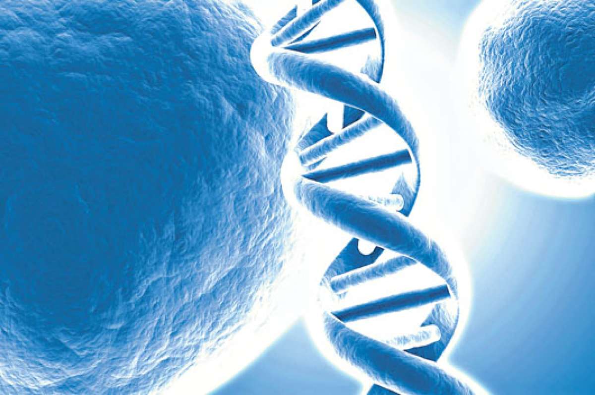 Inglaterra prev&eacute; aprobar una controvertida ley de fertilizaci&oacute;n