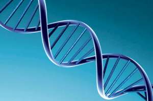 El ADN es &uacute;nico en cada ser humano, en este componente se encuentran los genes. Foto: Tomada de sitio octavplanta.es