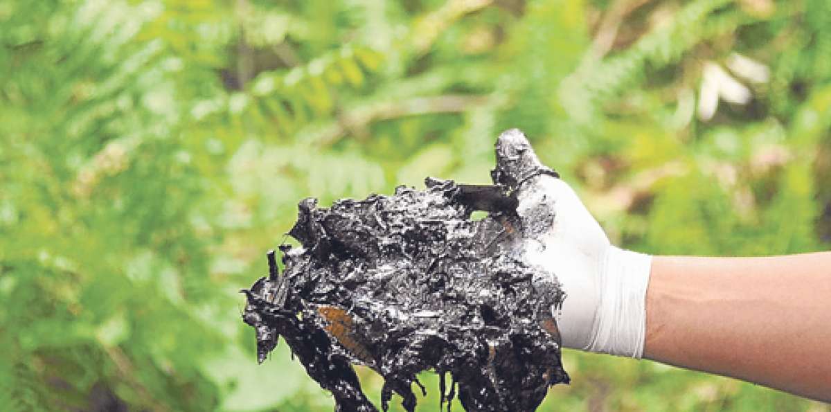 Los pasivos ambientales siguen latentes en varias zonas de Sucumb&iacute;os y Orellana, donde oper&oacute; Texaco-Chevron  Archivo / El Tel&eacute;grafo