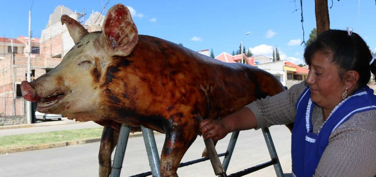 Susana Ayala tiene una t&eacute;cnica particular para no &ldquo;lastimar&rdquo; el cuero del animal y dejar muy doradita la piel.