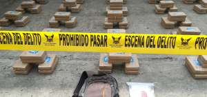 En el operativo Edox la UIAN decomis&oacute; 172 paquetes de clorhidrato de coca&iacute;na que saldr&iacute;a del pa&iacute;s a trav&eacute;s del puerto mar&iacute;timo.