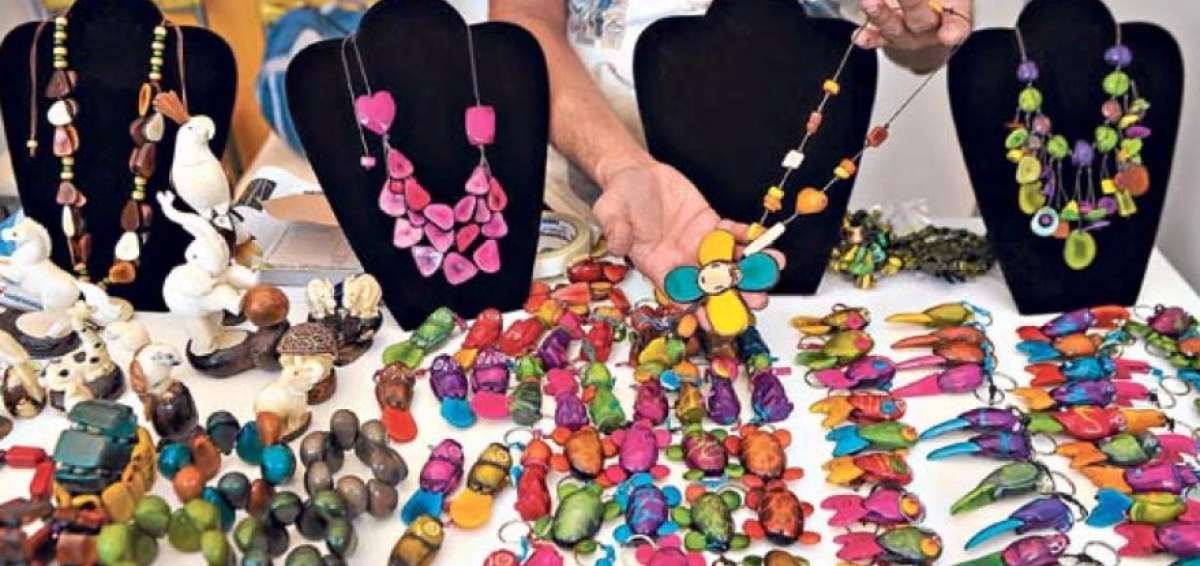 La tagua ecuatoriana tendr&aacute; denominaci&oacute;n de origen