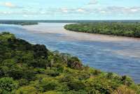 Periodista desapareció en la selva brasileña