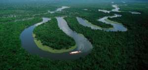 FAO: Siete millones de hect&aacute;reas de bosque tropical se pierden cada a&ntilde;o