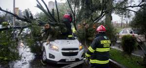 El due&ntilde;o del carro afectado por la ca&iacute;da de un &aacute;rbol el 8 de marzo no fue compensado pues ten&iacute;a seguro.