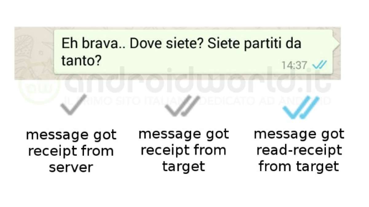 WhatsApp habilita doble visto para notificar que mensaje ha sido le&iacute;do