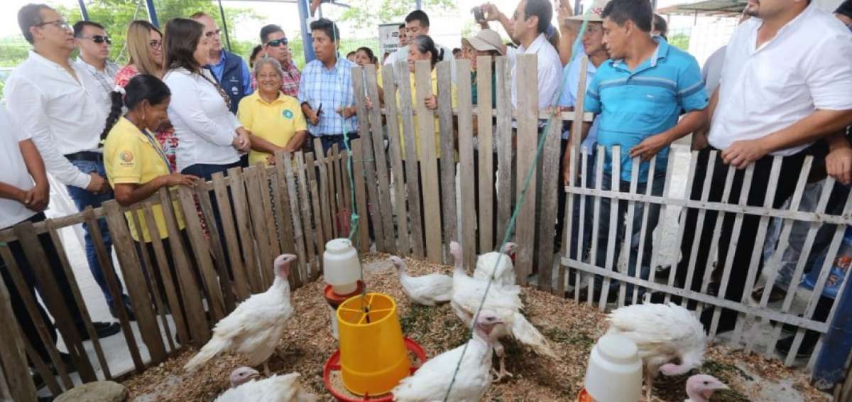 Vicepresidenta anima a productores a sumarse a la gran industria