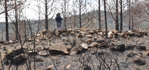 El equipo t&eacute;cnico inspeccion&oacute; los remanentes arqueol&oacute;gicos de la zona, despu&eacute;s de que ocurriera el incendio, para verificar los da&ntilde;os causados.   