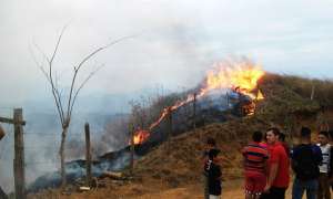 Incendio forestal se registra en Portovelo